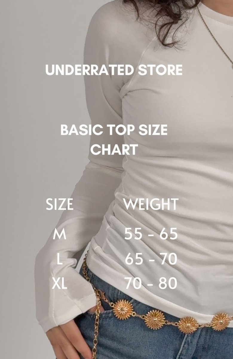 Long Sleeve Beige Basic Top - Underrated store